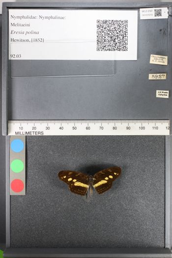 Media type: image;   Entomology 101010